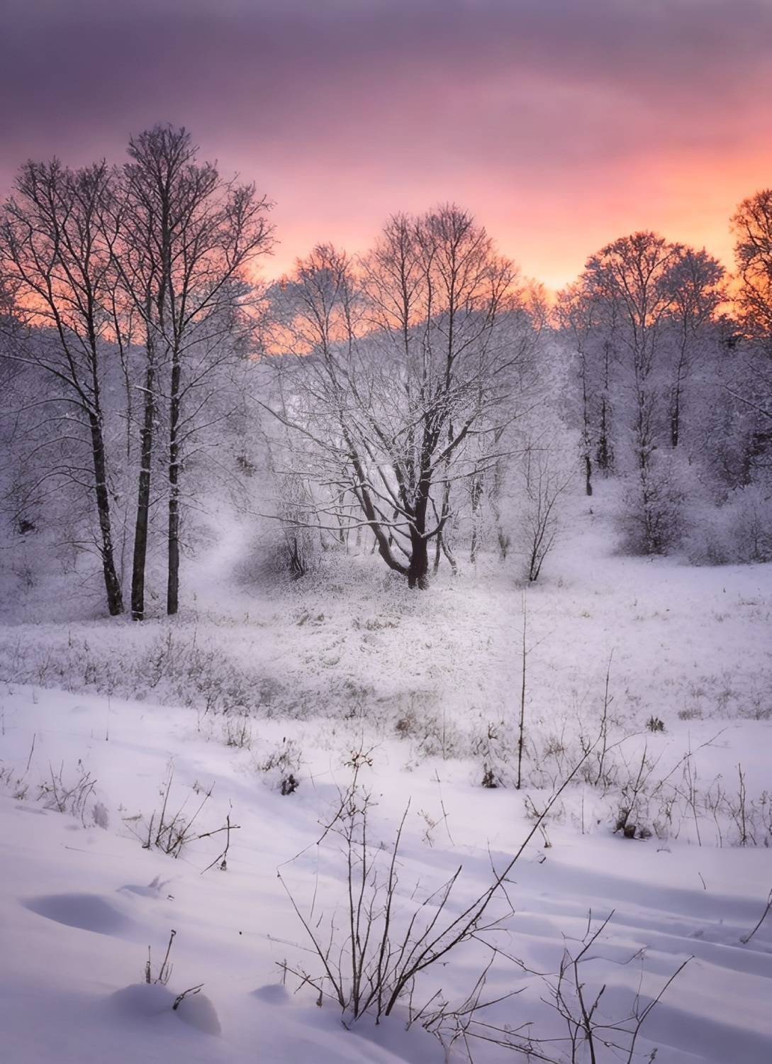 пейзаж, landscape, nature, природа, зима, winter, sunset, закат, лес, forest, Julia Kaissa