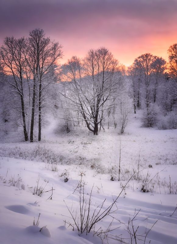 пейзаж, landscape, nature, природа, зима, winter, sunset, закат, лес, forest *** фото превью