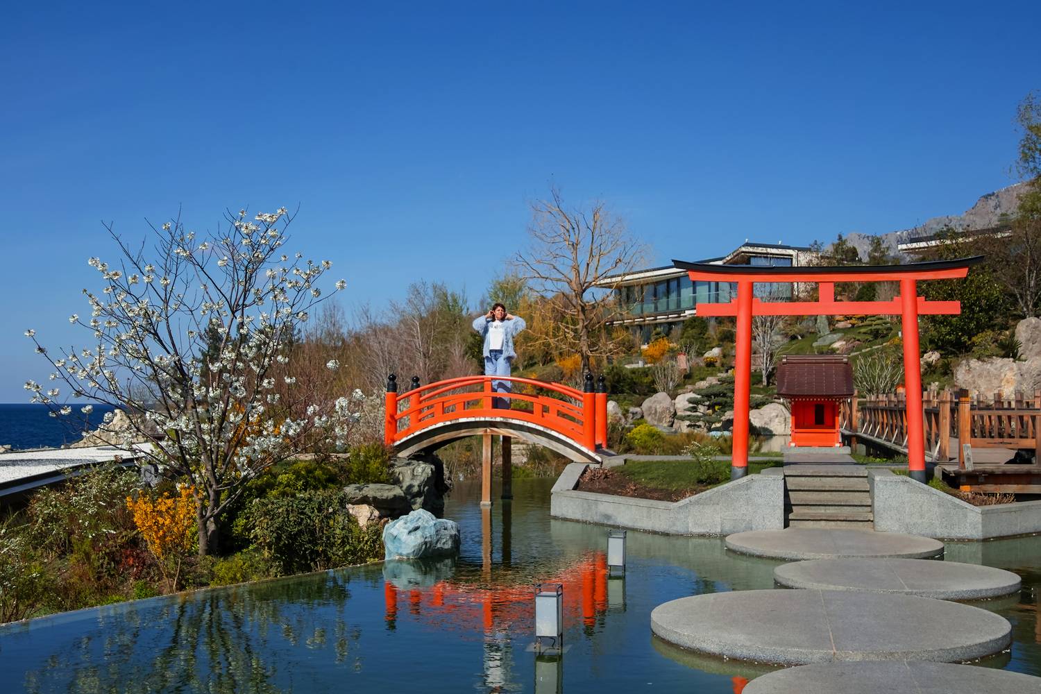 sigma sd quattro, Дмитрий Цыпляев