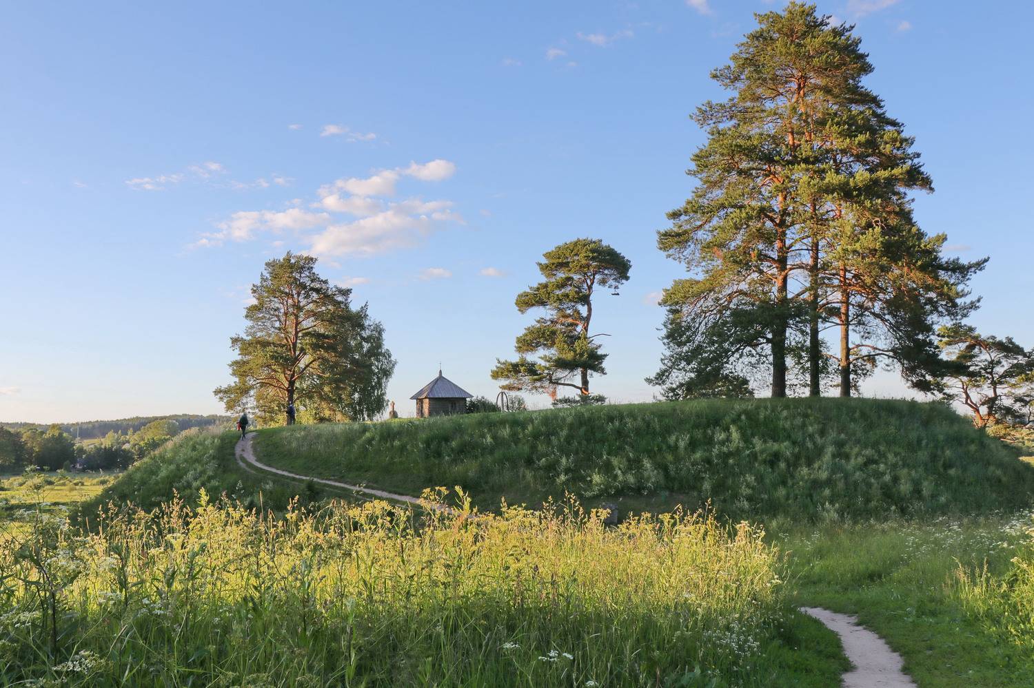 , Добролюбова Тамара