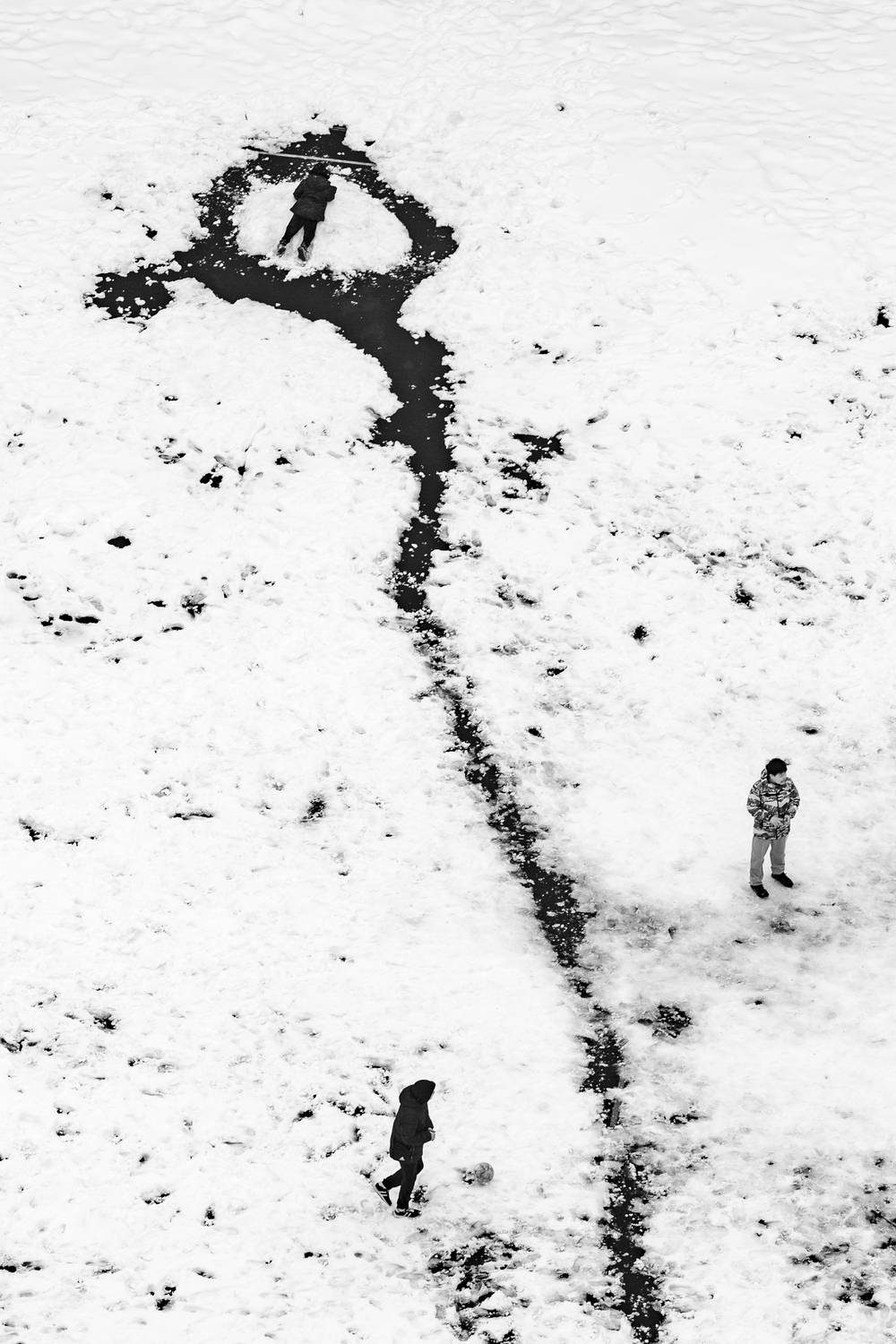 , Алексей Федотов