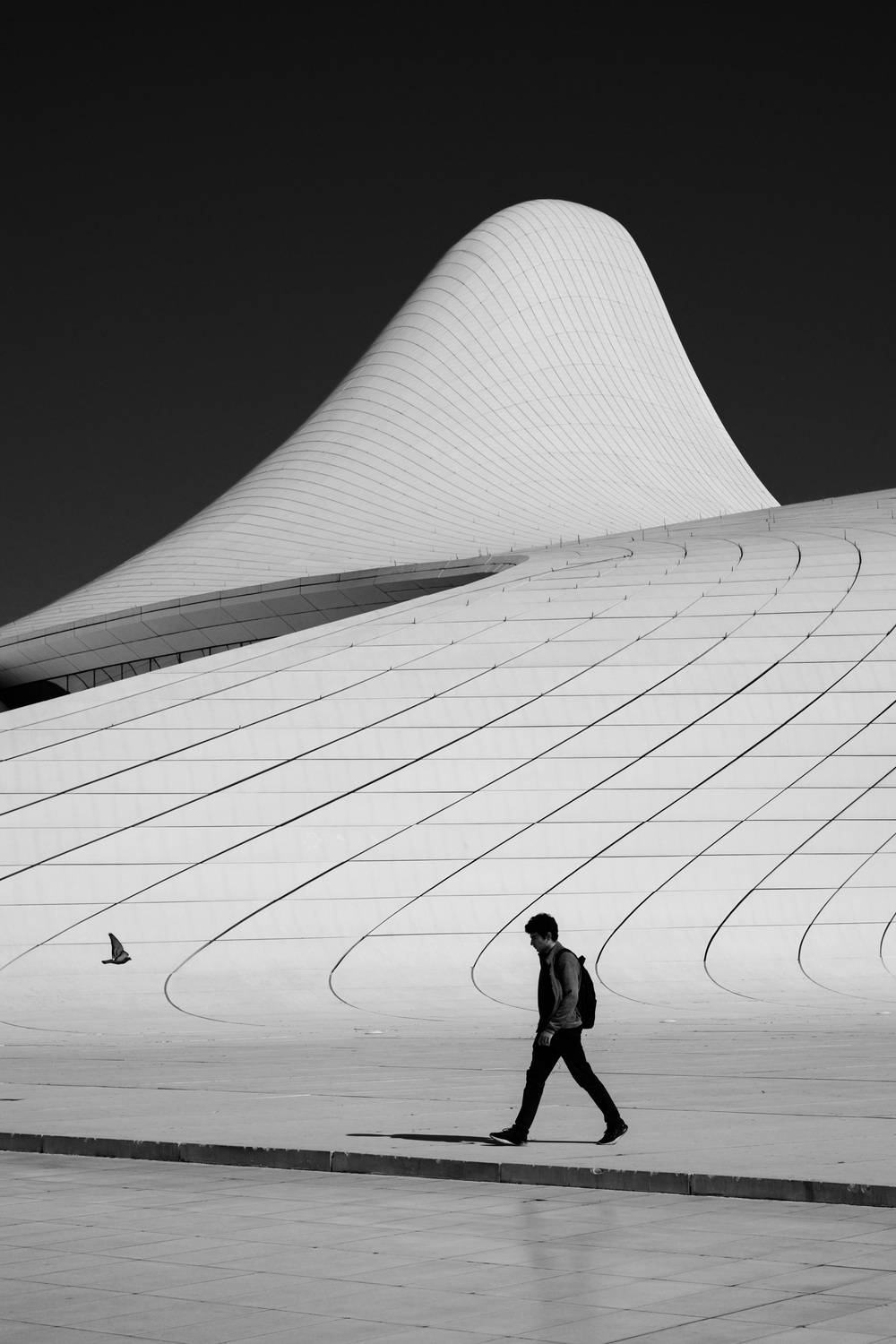 , Корж Владимир