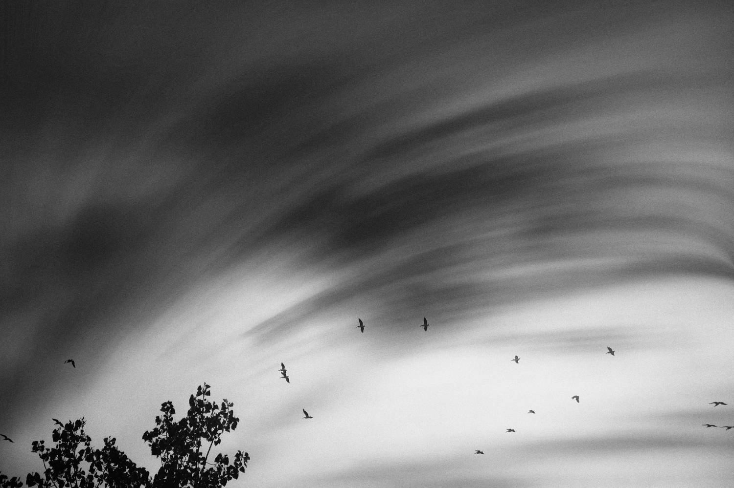 , Мариана Добрева