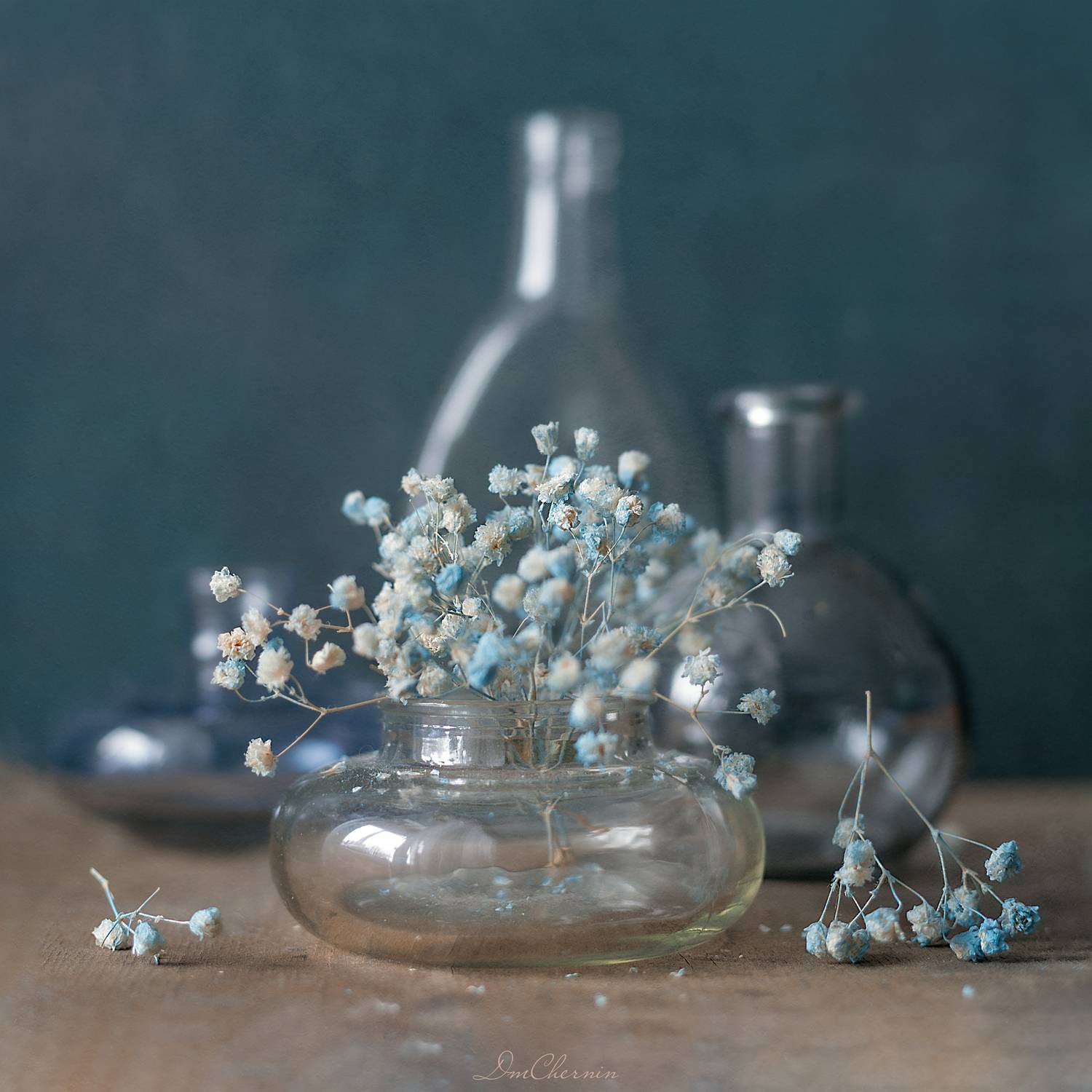 , Чернин Дмитрий