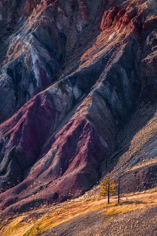 Textures of Altai фото превью