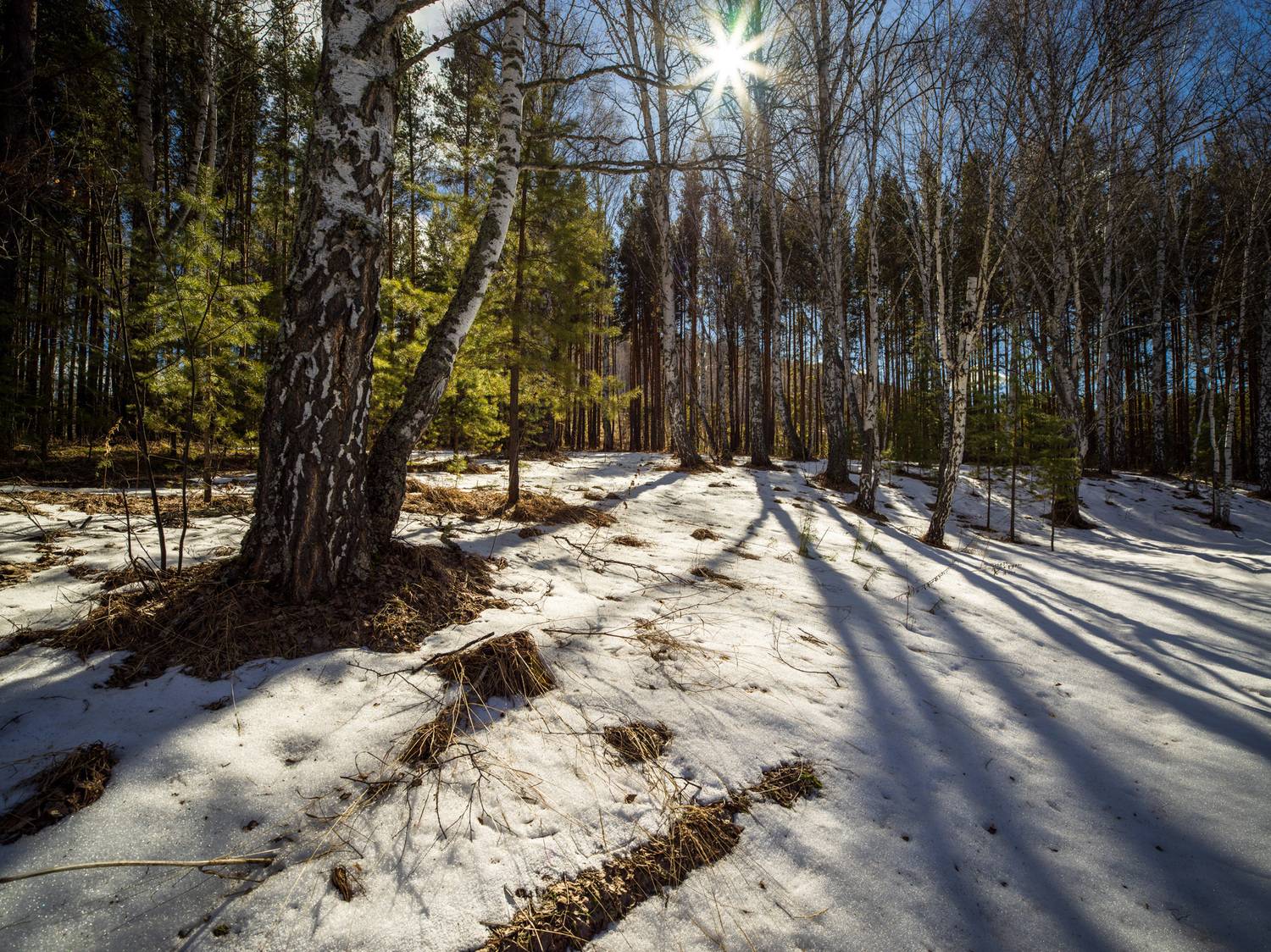 , Шустиков Дмитрий