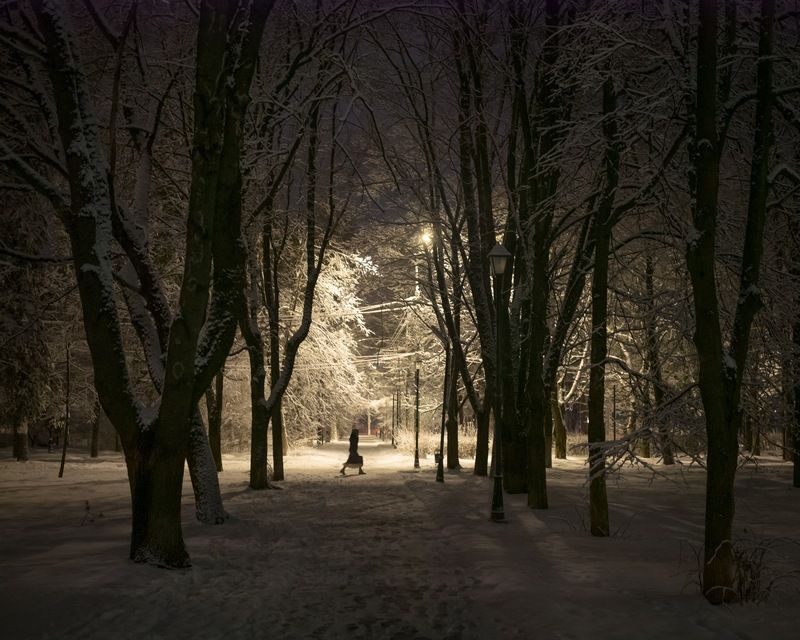 В парке после апрельского снегопада фото превью