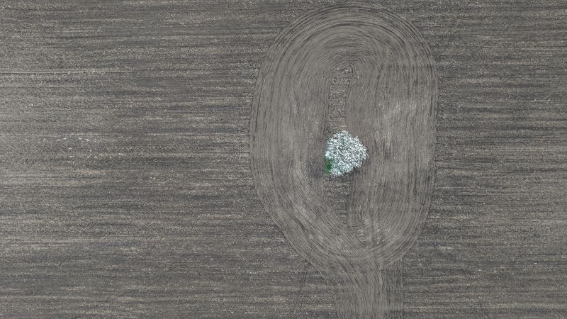 Весна фото превью