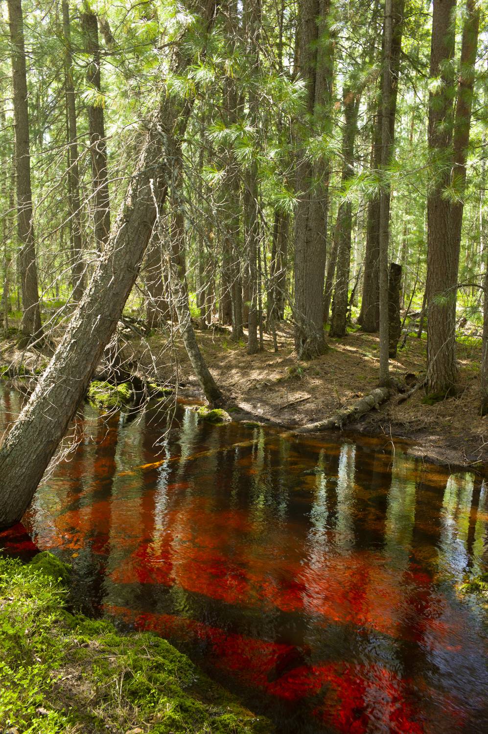 , Михаил Дронов