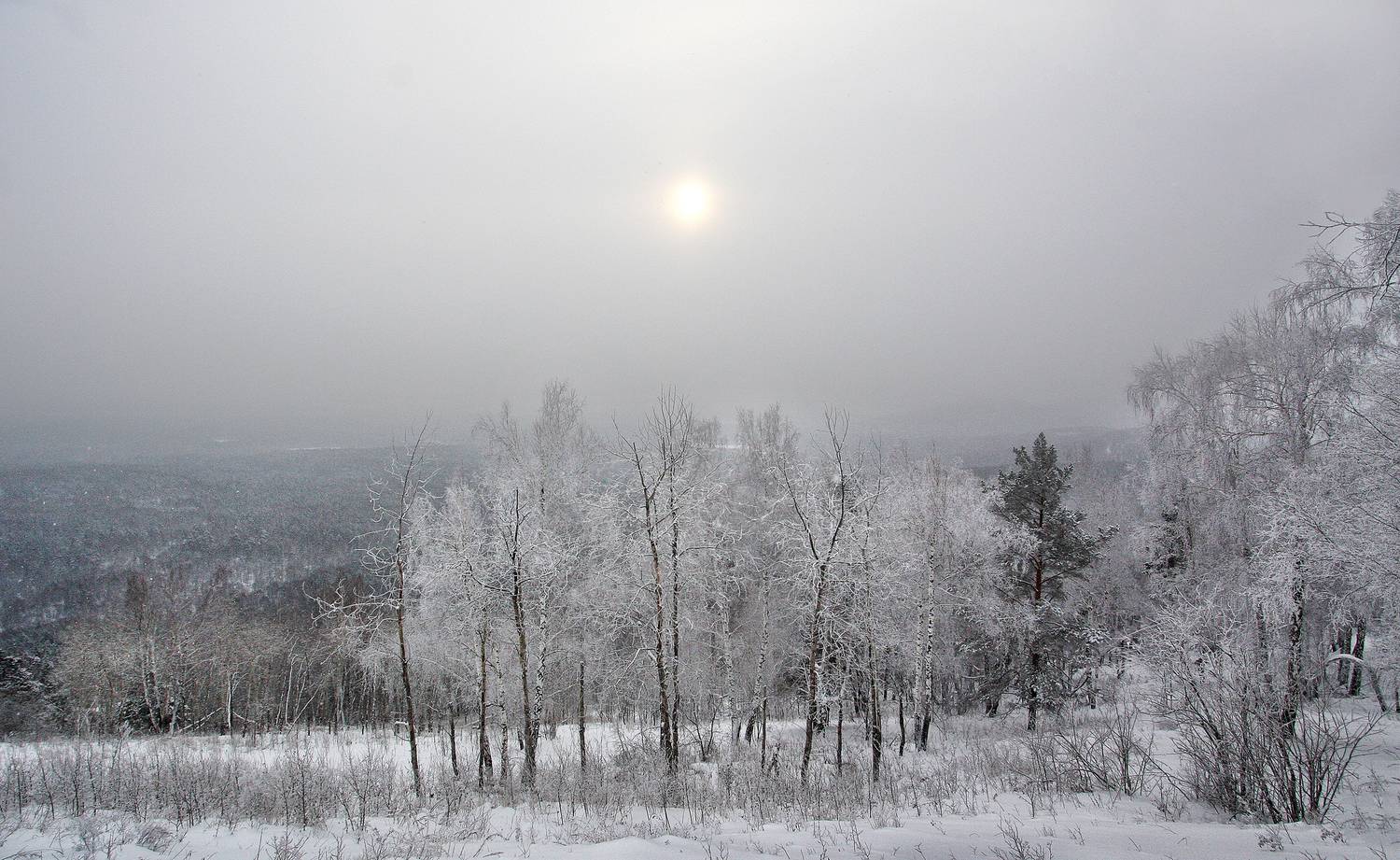 Вишнёвые горы, Ушаков Валерий