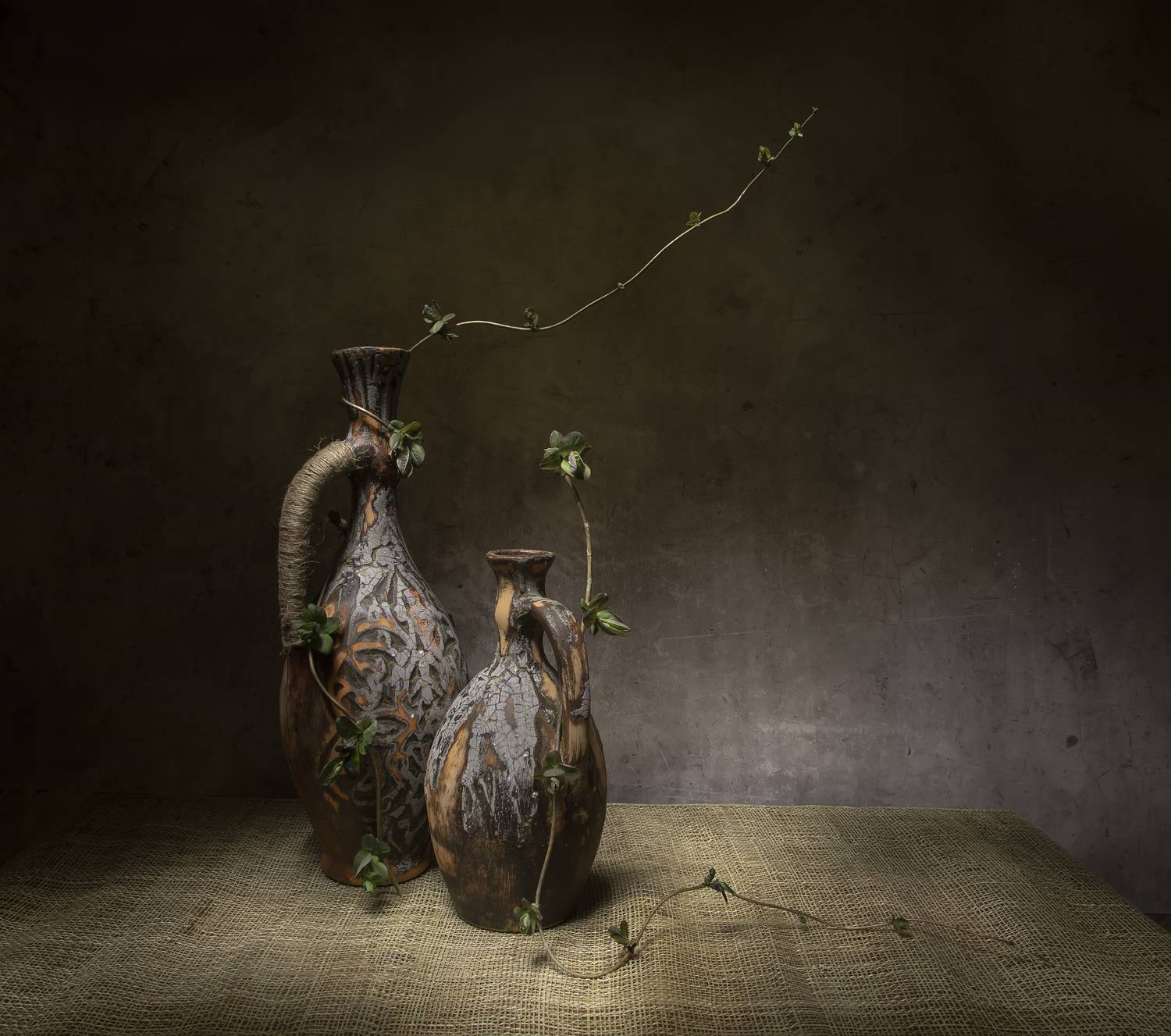 натюрморт, кувшин, кувшины, побеги, Татьяна Феденкова