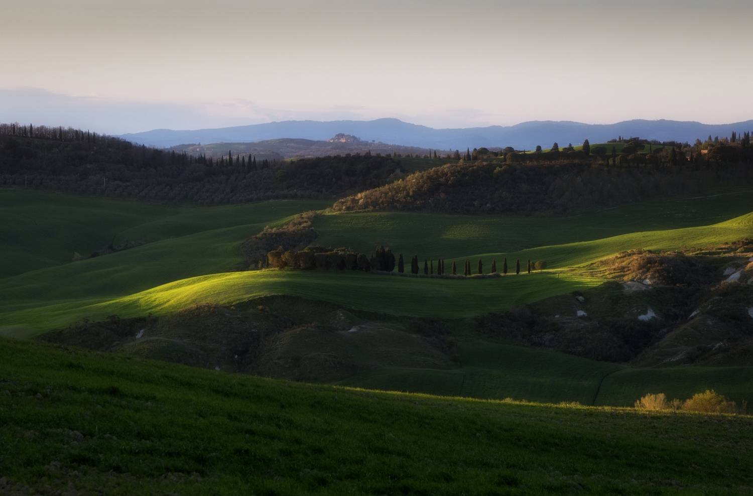 , Алекс Римский