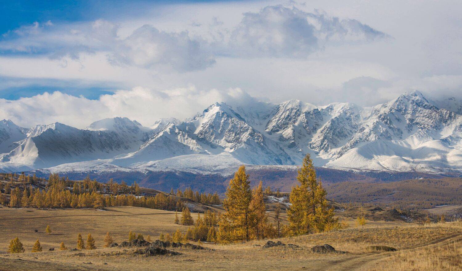 , Константин Буркин