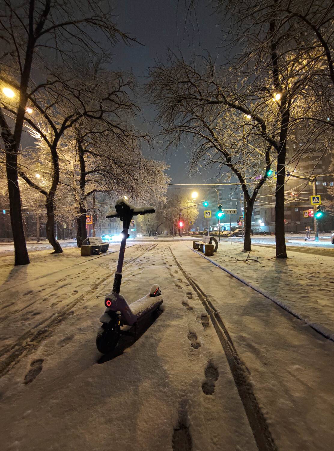 , Всеволод Сахновский