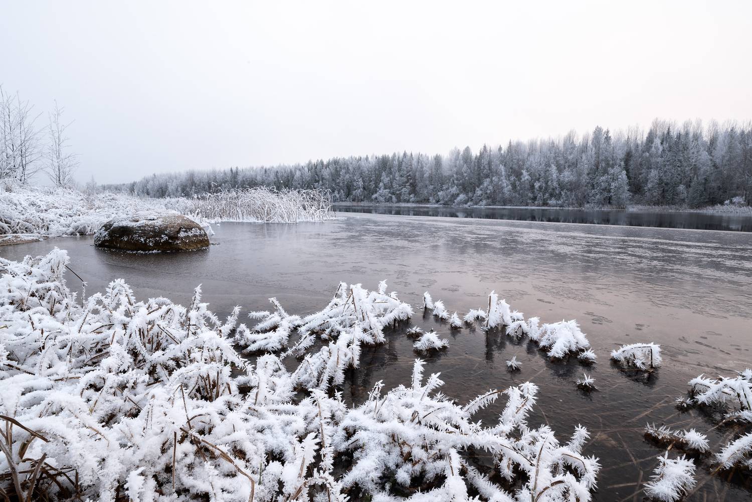 , Алексей Турчин