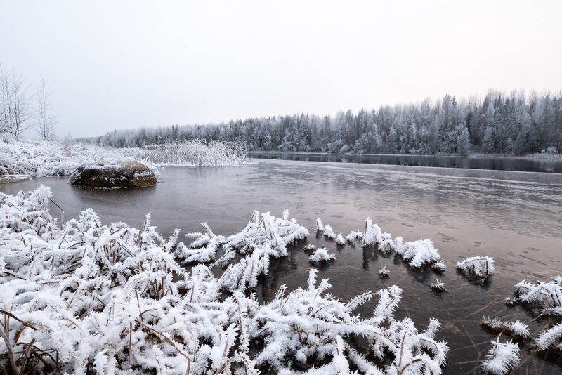 Обозеро приморозило фото превью