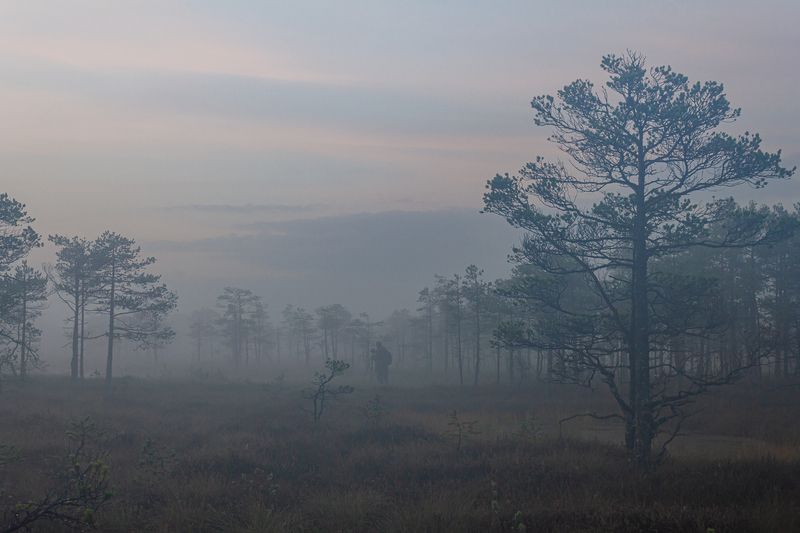 Фотограф в тумане фото превью