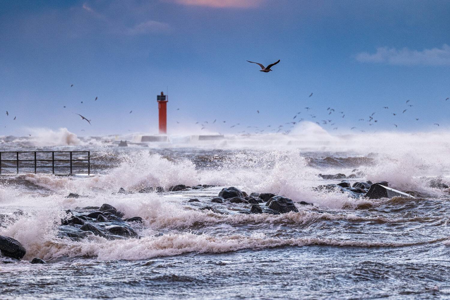 , Гордон Николай