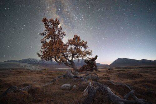 Под мириадами звезд