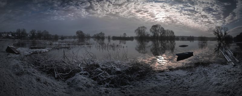 лес, свет, утро, природа *** фото превью