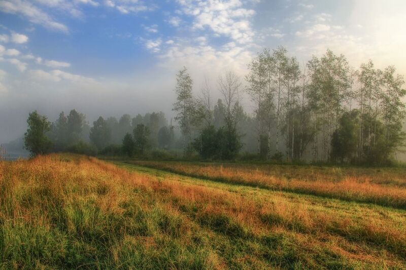 Утро туманное фото превью
