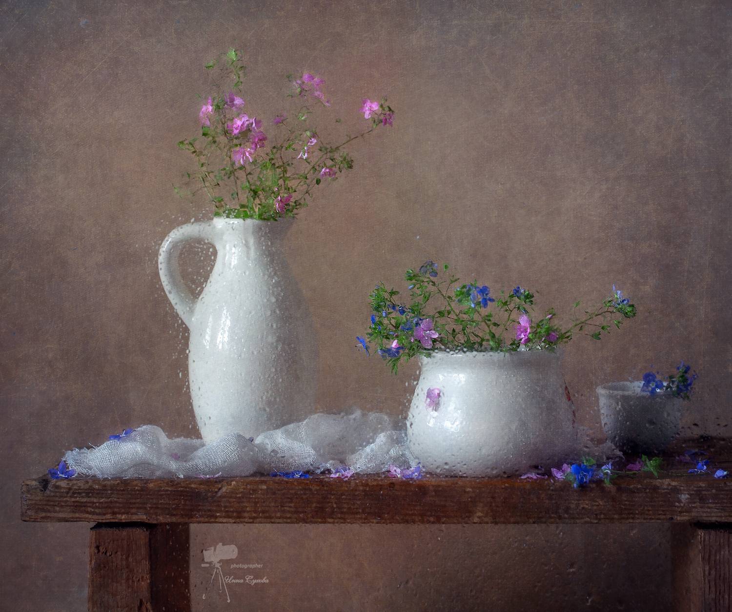 , Инна Сухова