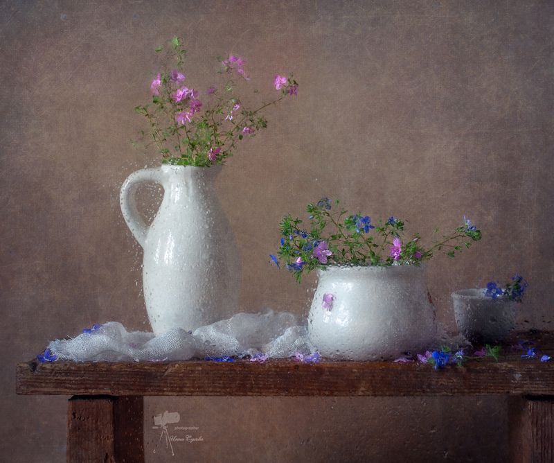 *** фото превью