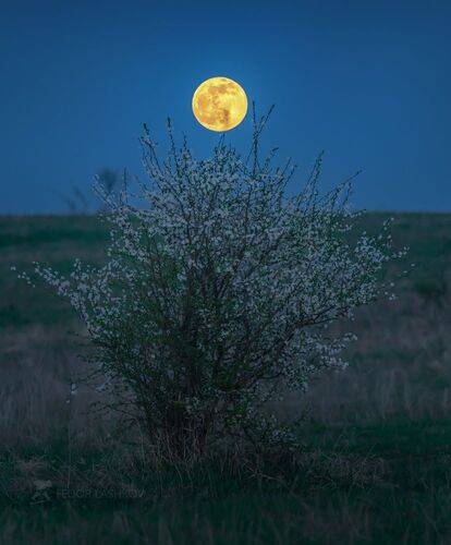 Созерцание