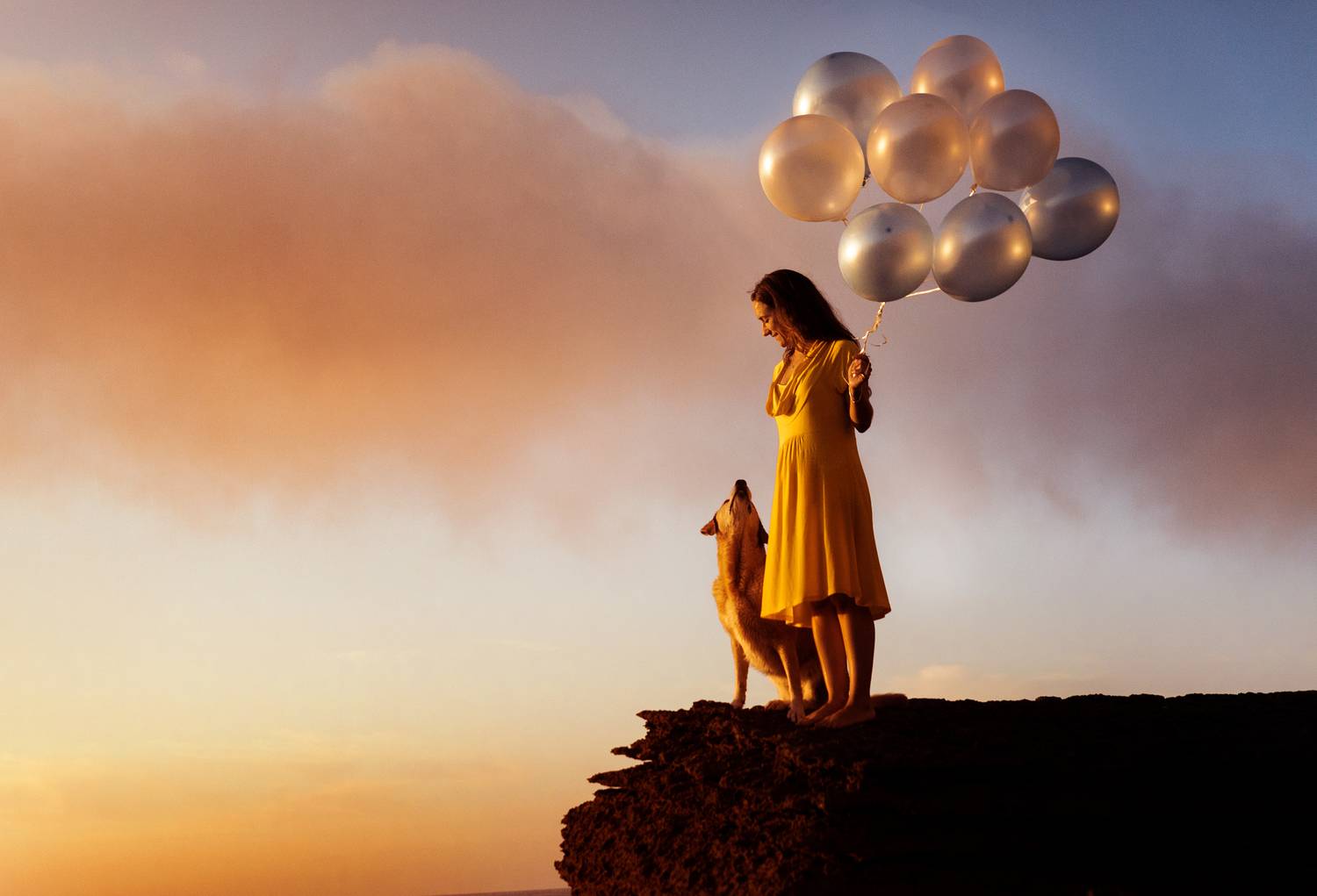 dogs,pets,golden,hour,flowers,backlight,camp,labrador,retriever,puppy,natural light,photography,portrait,warm,colors,smile,outdoor,fun,woman,friendship,balloon, Alexandre Marques