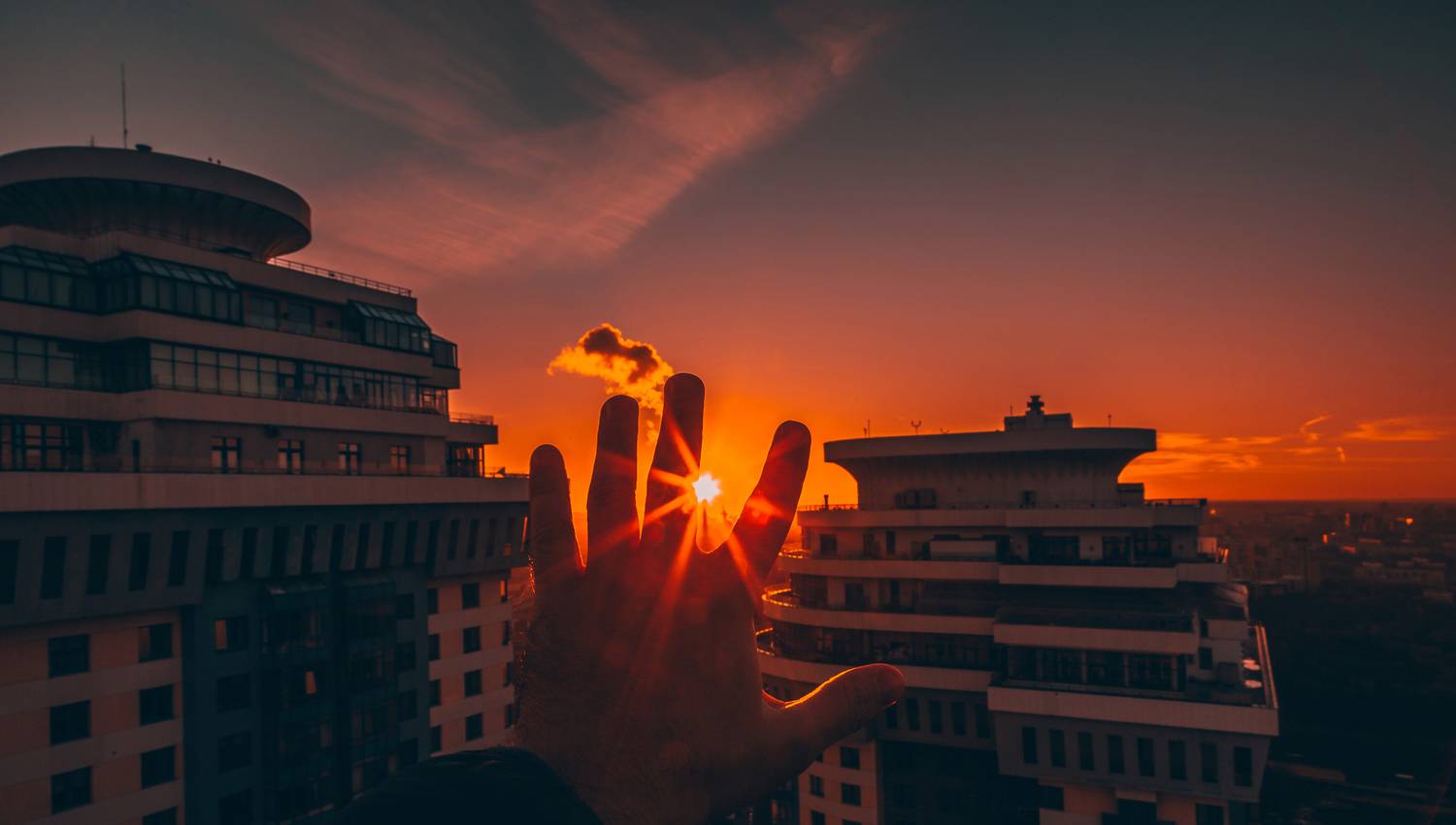 , Трепольский Дмитрий