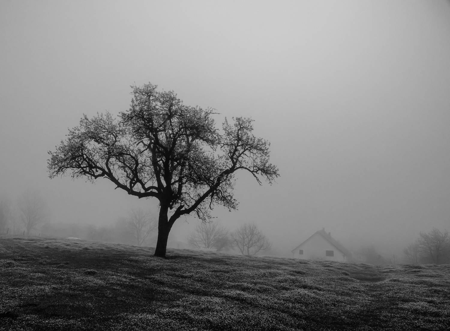 , Александр Шилов