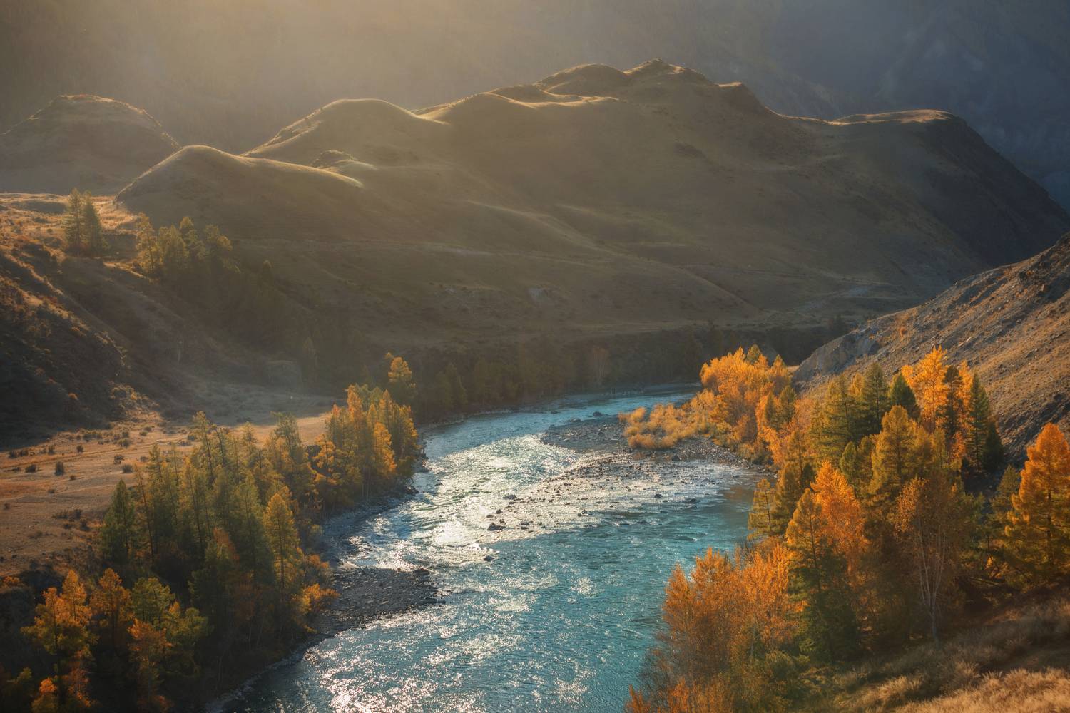 , Шевченко Николай