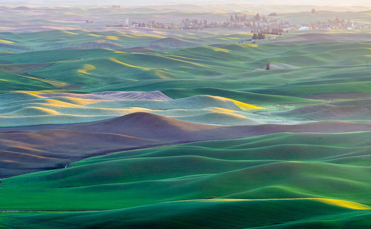 , Лозицкий Александр