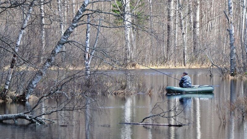 Речка, утро, поплавок. фото превью