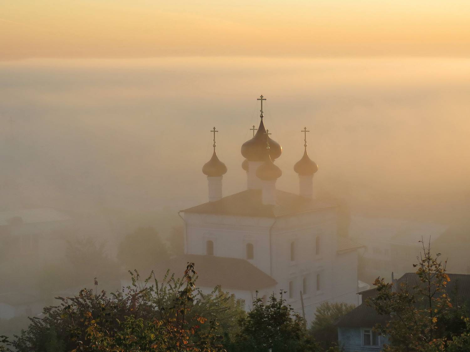 , Добролюбова Тамара