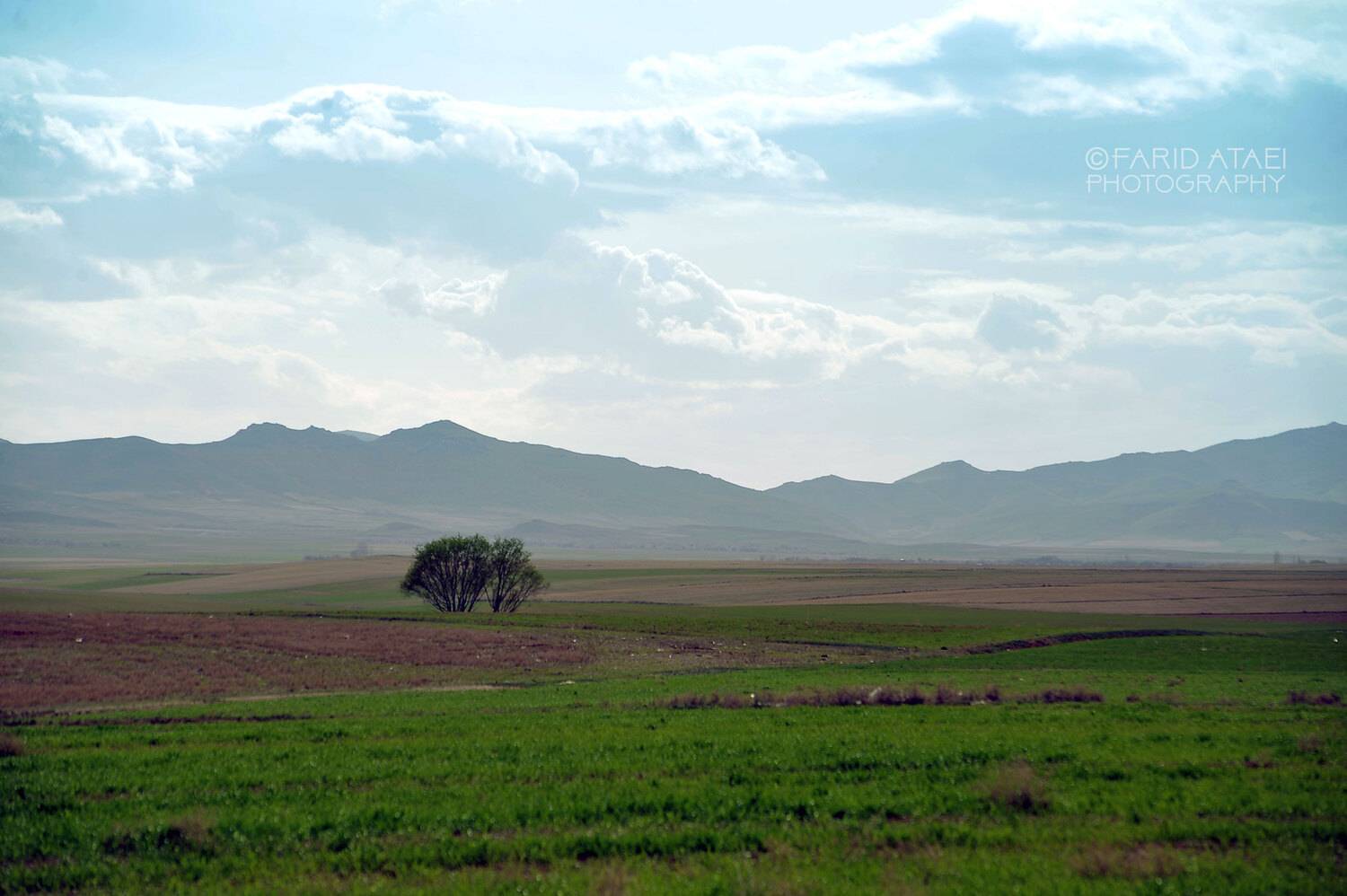 , Farid Ataei