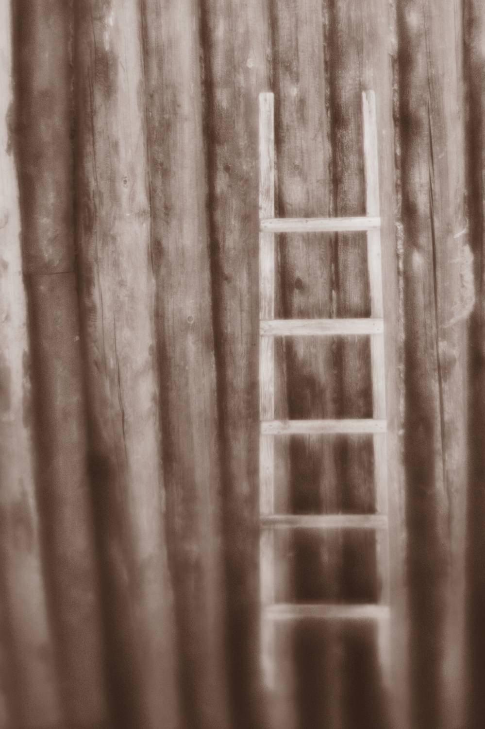 , Таня Смолевская