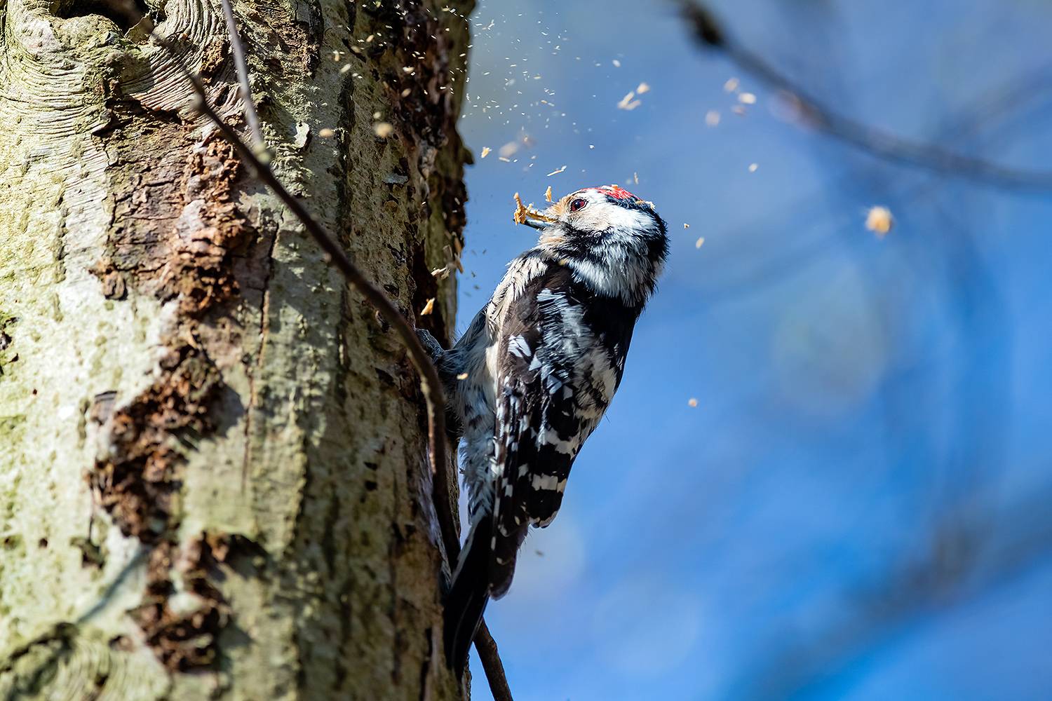 , Абросимов Александр