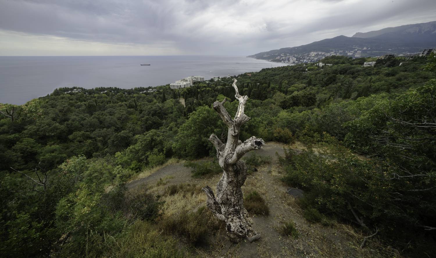 Россия, Крым, Ялта, Массандровский парк,, Гаврилов Юрий