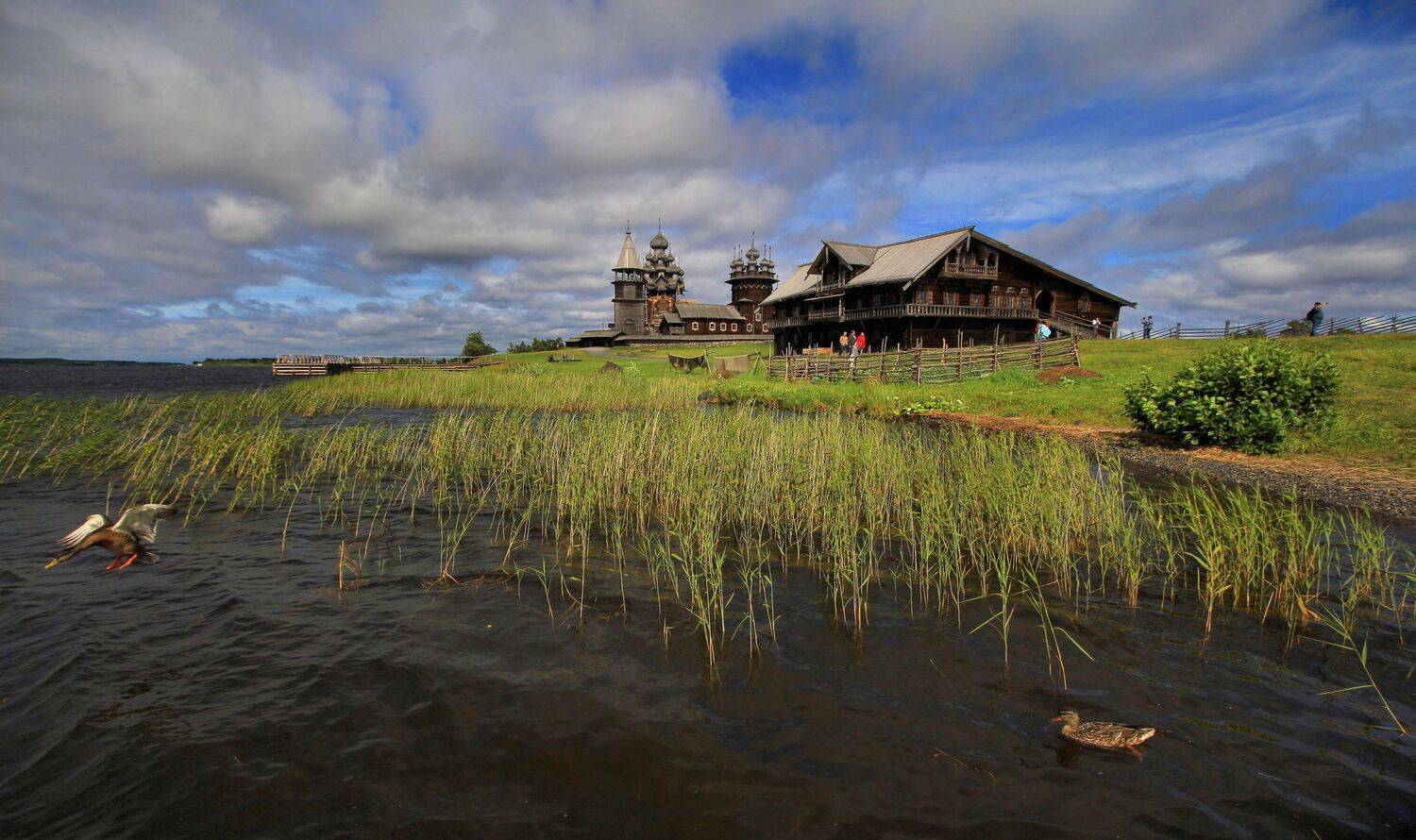 кижи, озеро, утки, дом, север, Наталия Колтакова