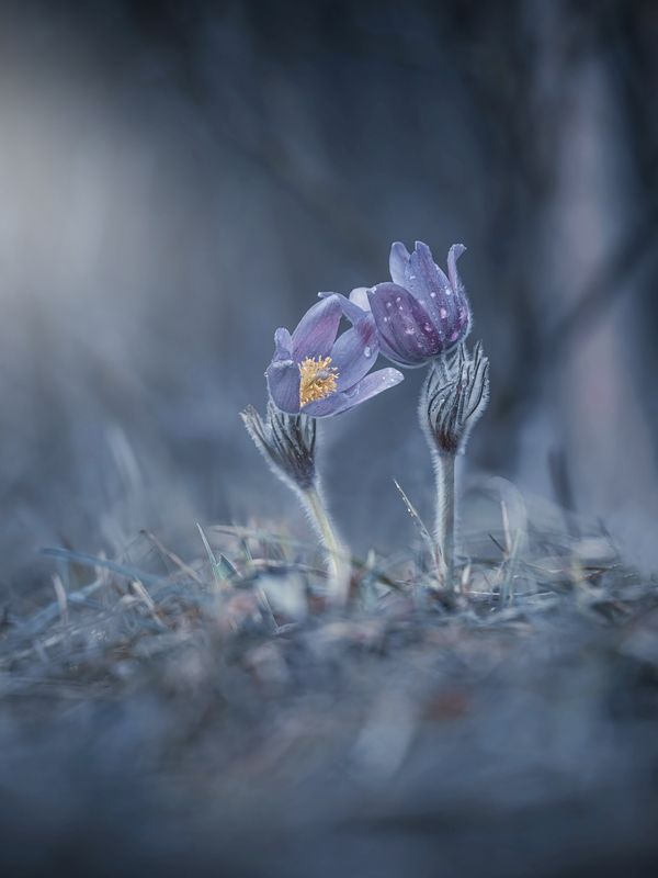 О любви... фото превью