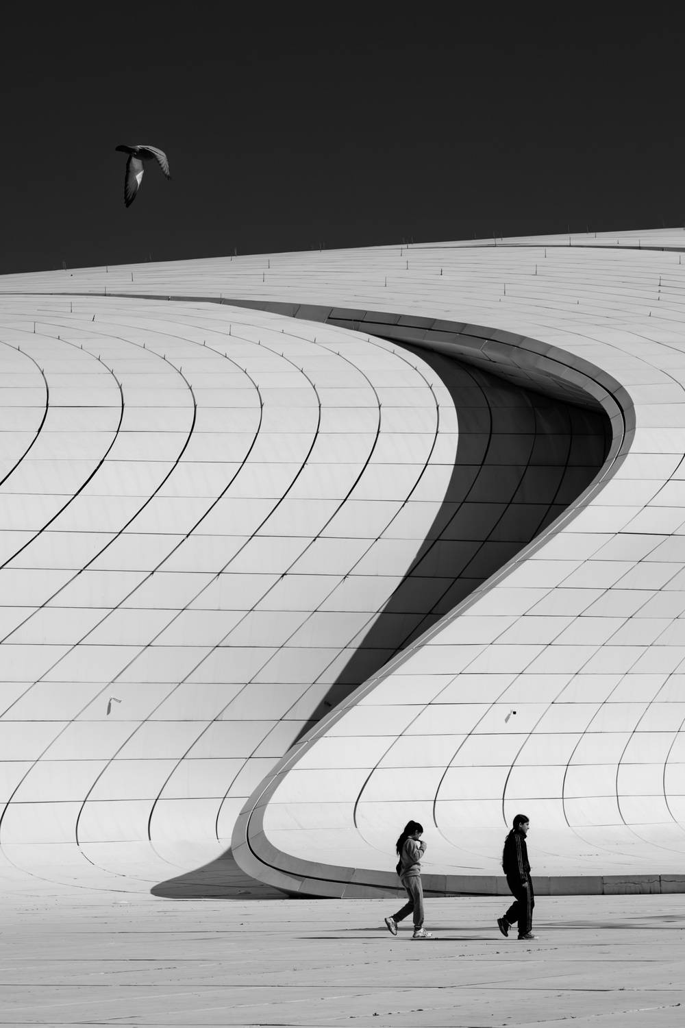 , Корж Владимир