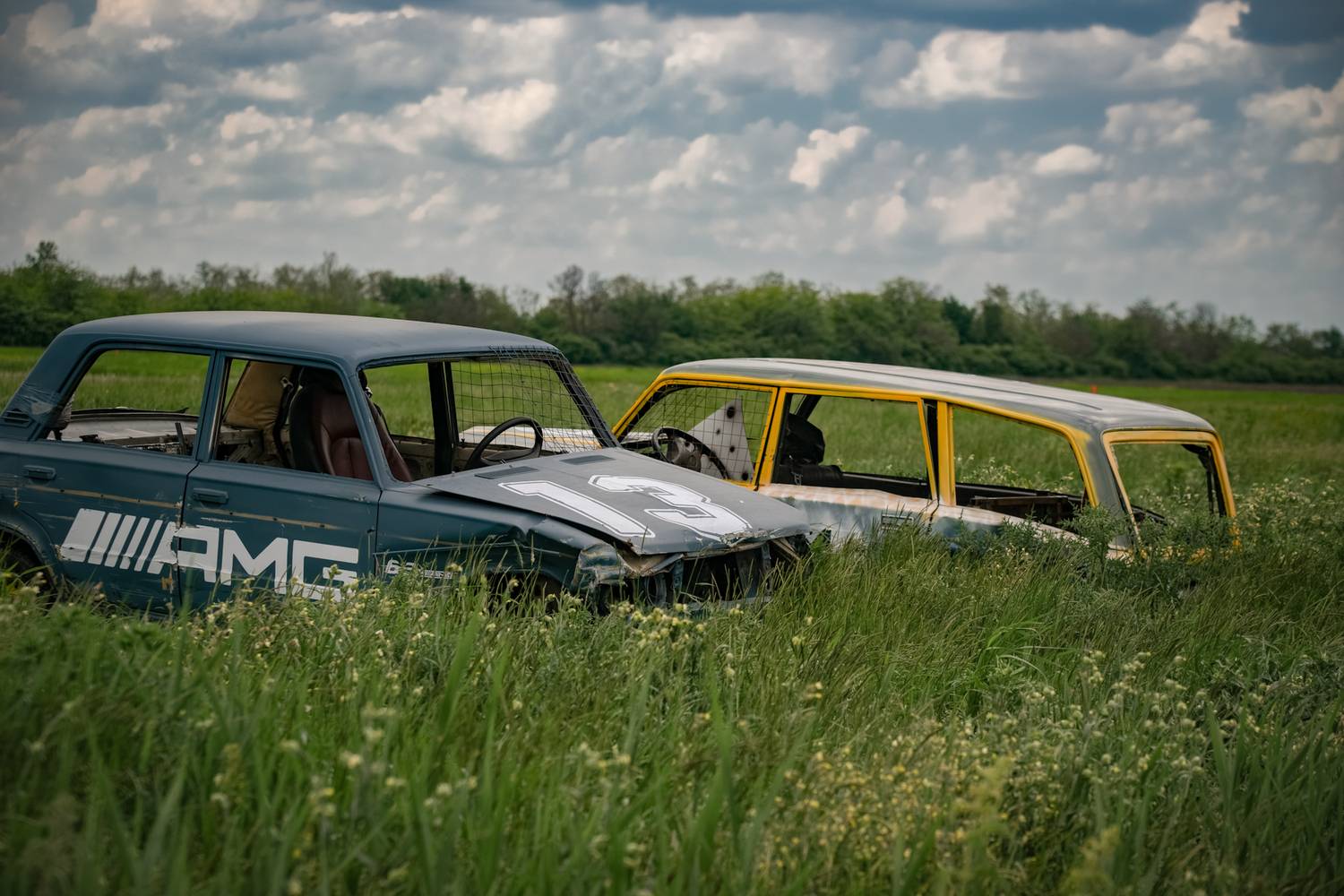 , Елена Литовская