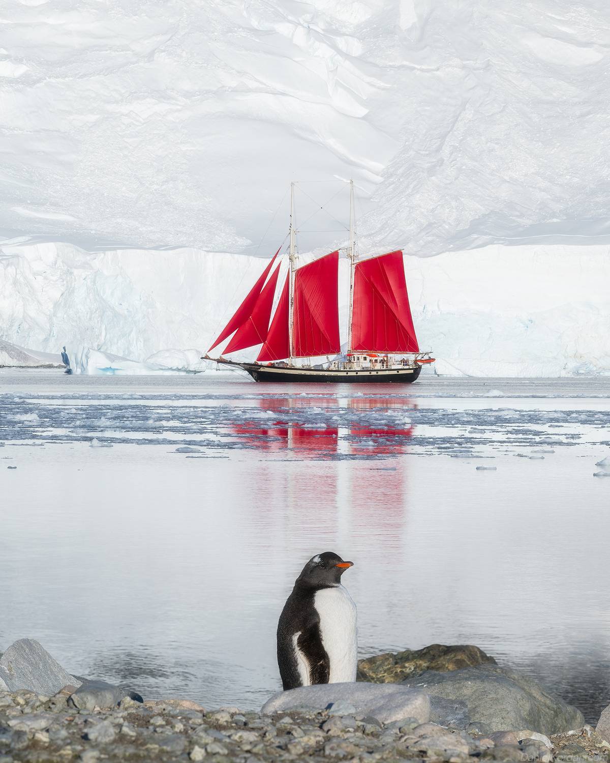Antarctica, Даниил Коржонов