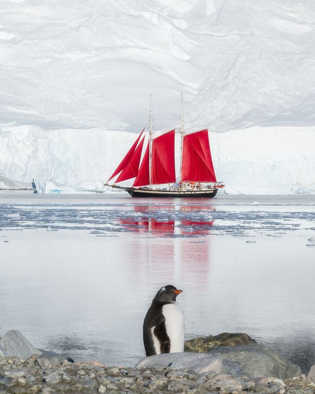 Antarctica