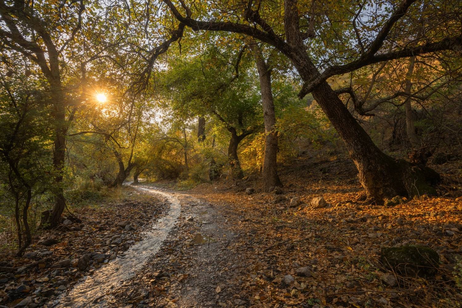 uzbekistan. nanay village., Andrey