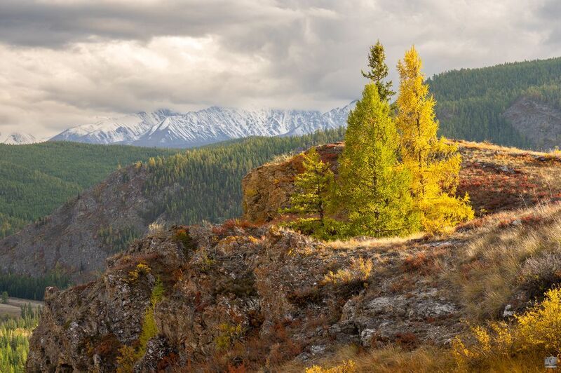 алтай Краски осени фото превью