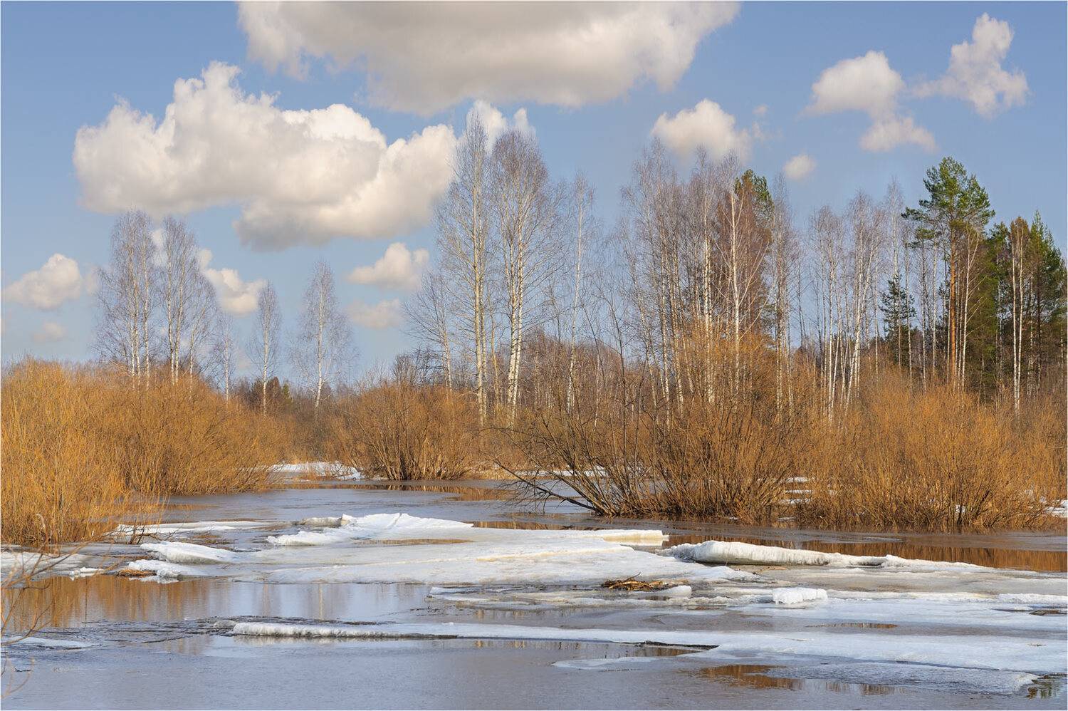 , Анатолий Гулин