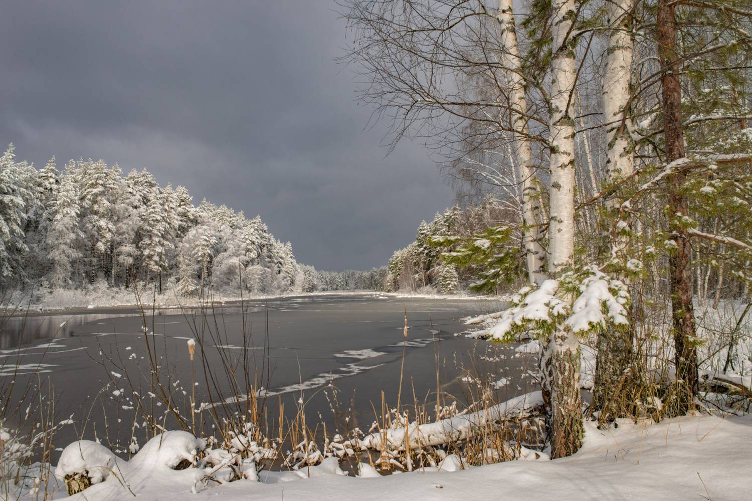 апрель утро снегопад суходол серково, Алексеев Дмитрий