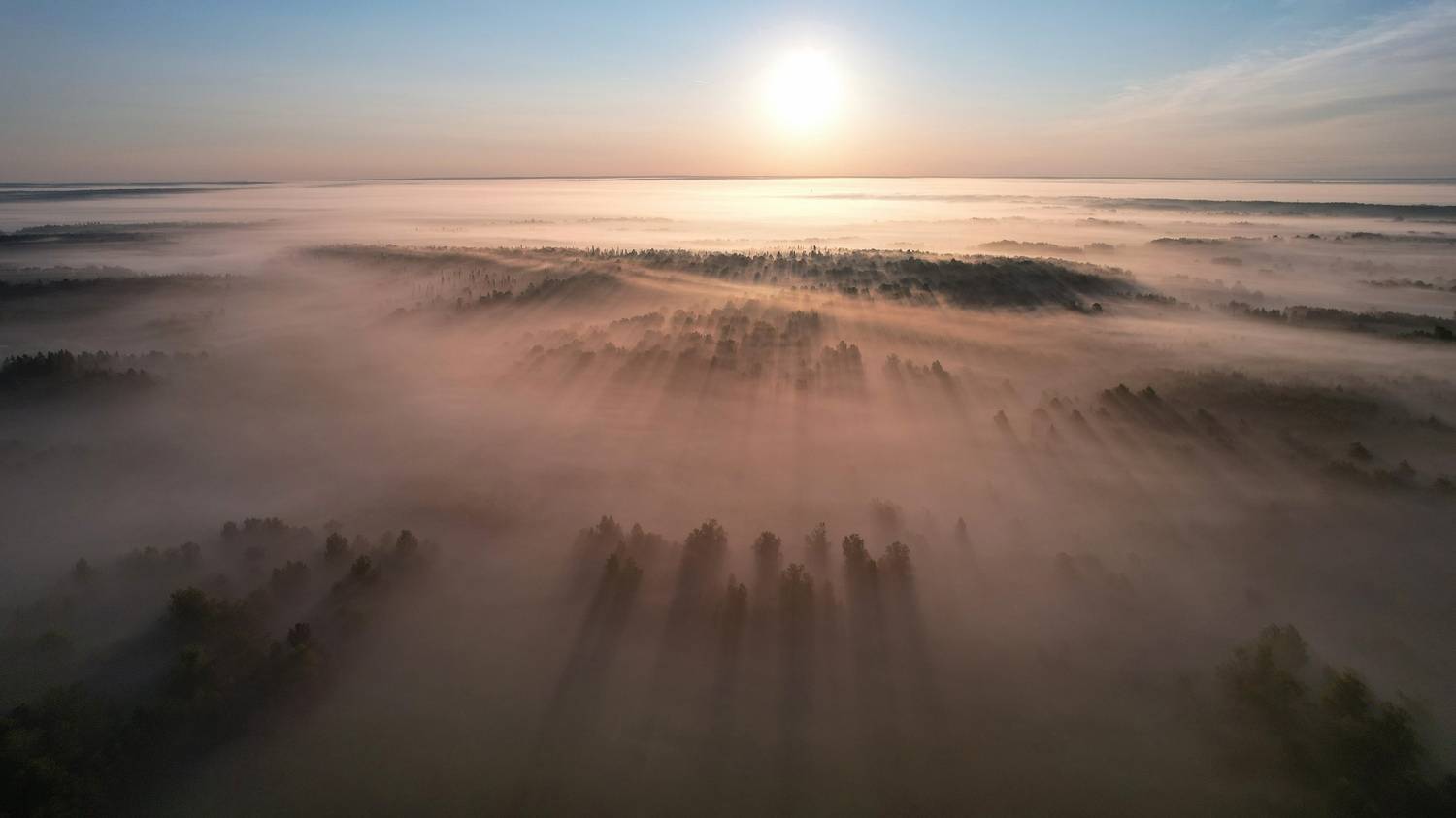 , Константин Буркин